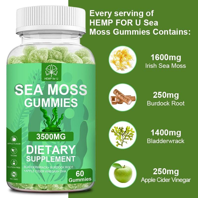 Seaweed Apple Cider Vinegar Gummies - JuViLu Essentials